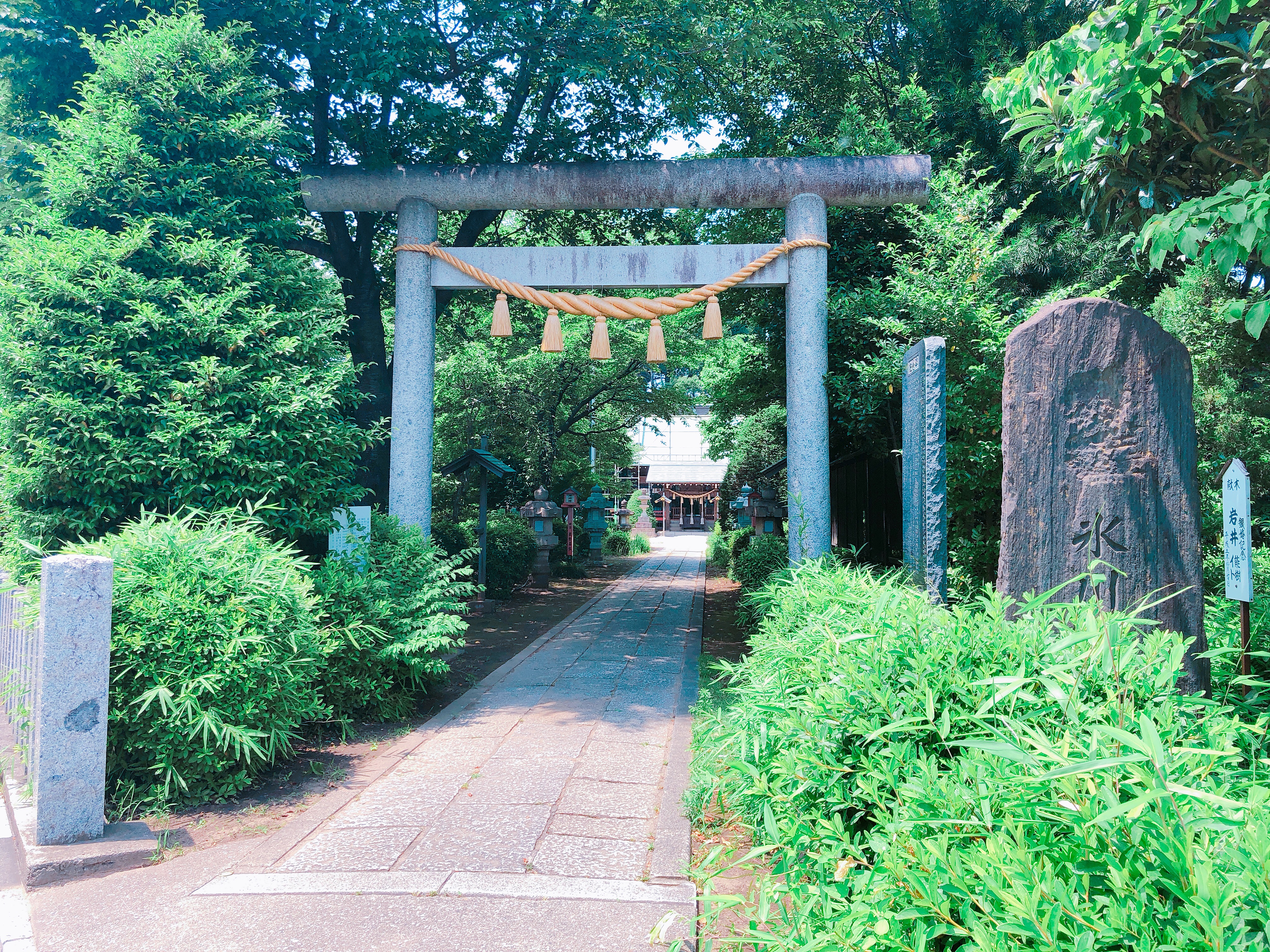 【ふじみ野支局便り】ふじみ野市内の神社と御朱印